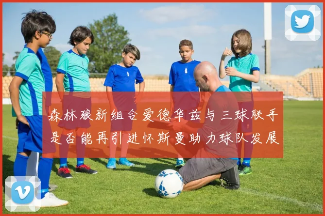 森林狼新组合爱德华兹与三球联手是否能再引进怀斯曼助力球队发展